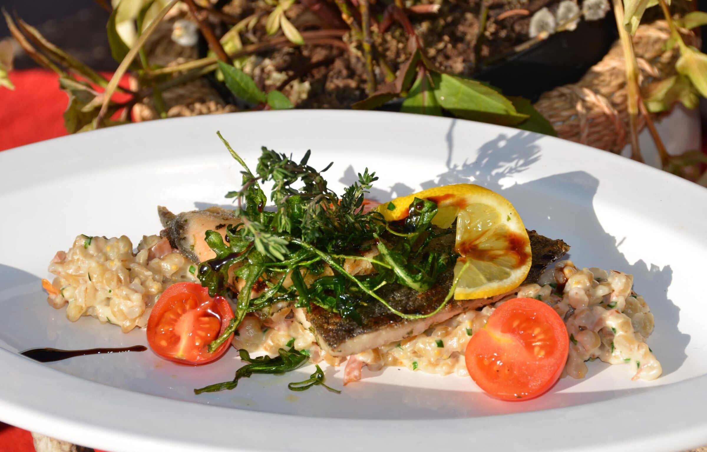 Kärtner Laxn presso Trattler's Einkehr.