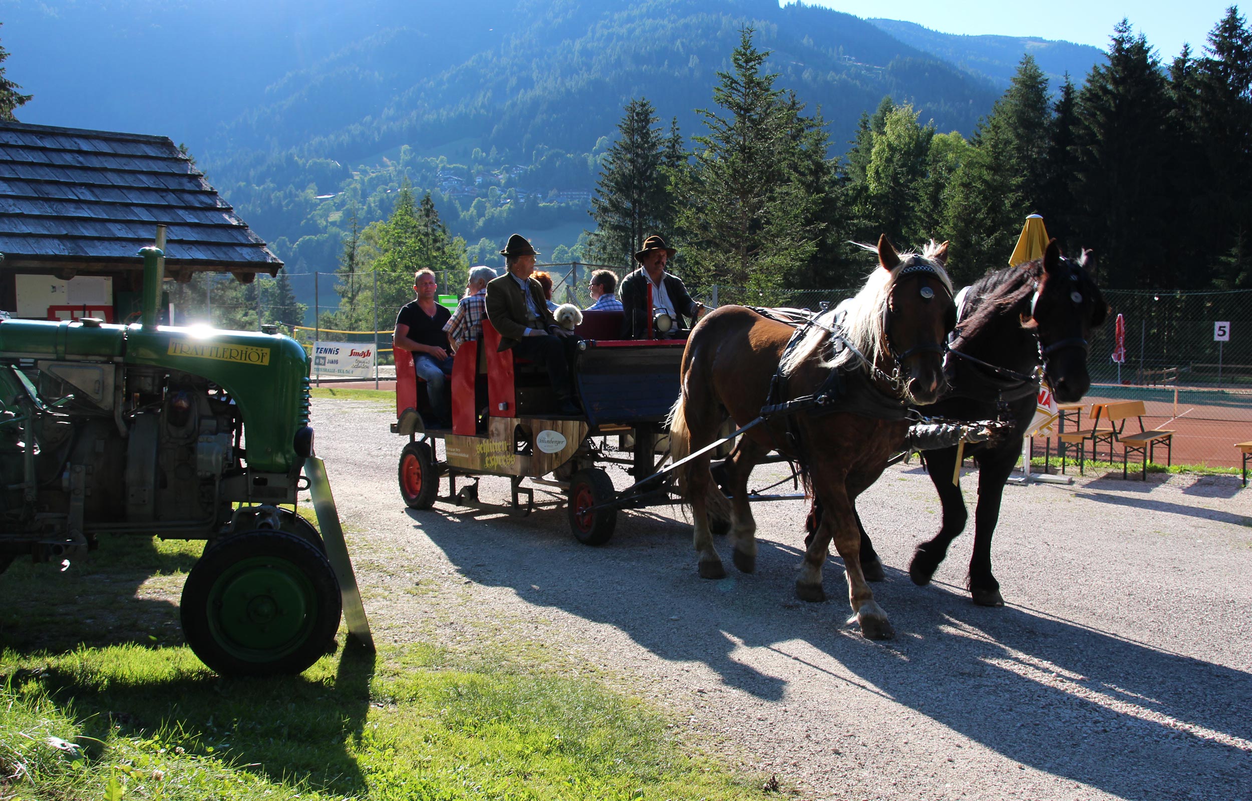 Carrozza a due cavalli che trasporta più persone.